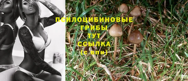 прущая мука Михайловск