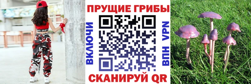 Псилоцибиновые грибы Magic Shrooms  купить  сайты  Абакан 