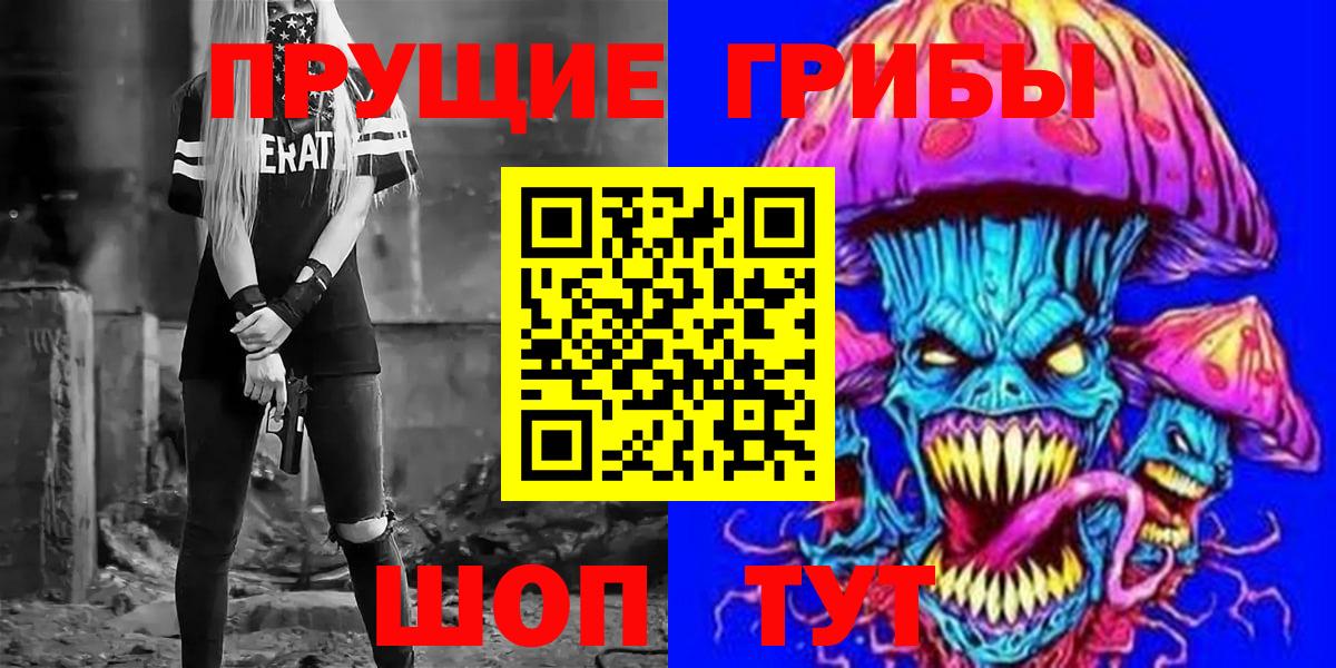 Галлюциногенные грибы Psilocybine cubensis  Абакан 