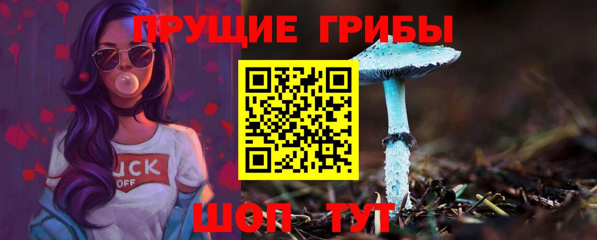 Псилоцибиновые грибы мухоморы  цены наркотик  Абакан  Вход с VPN 