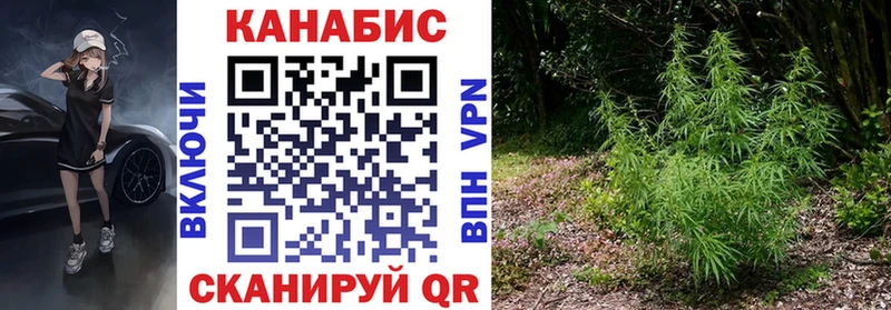 даркнет Telegram  купить   Абакан  Марихуана Bruce Banner 