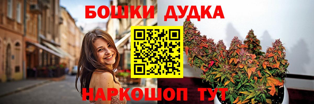 Бошки Шишки семена Абакан